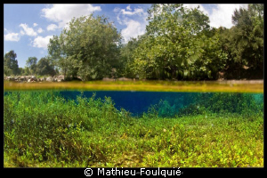 freshwater over-under by Mathieu Foulquié 